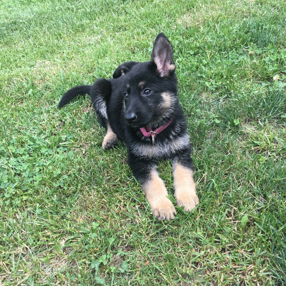 Meet your Posher, Jeanne